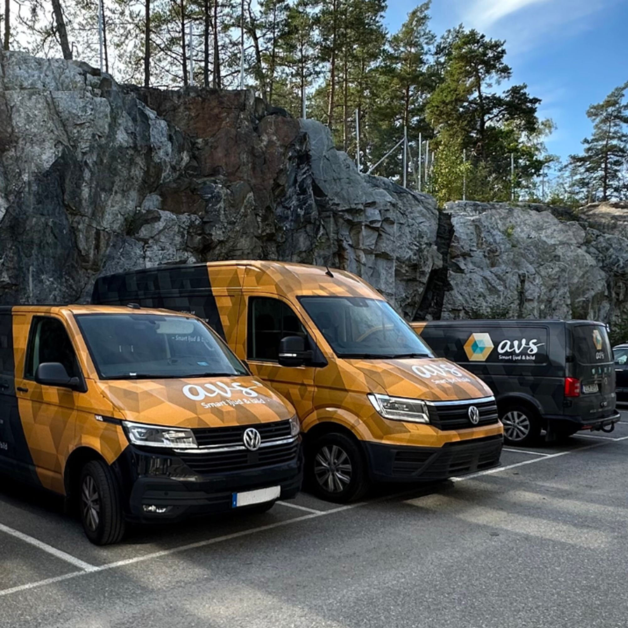 avs-erfarenhet-sedan-1986